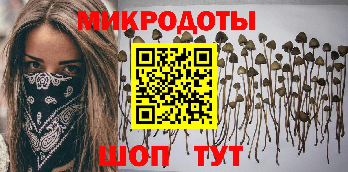 Галлюциногенные грибы прущие грибы  где найти наркотики  Кыштым  Вход с VPN 